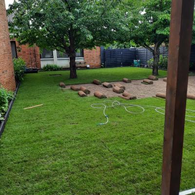 Image037